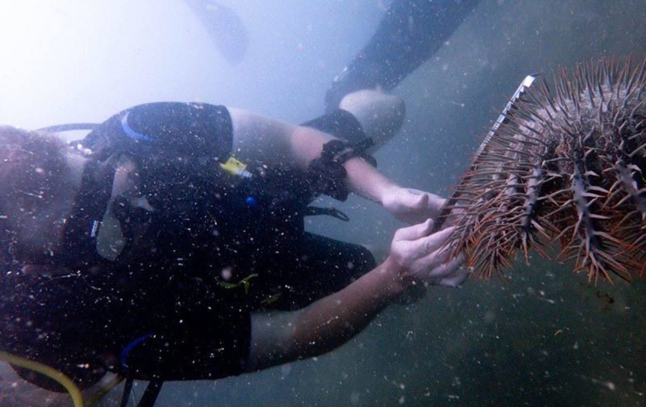 Thailand 2016: Marine Conservation Effort